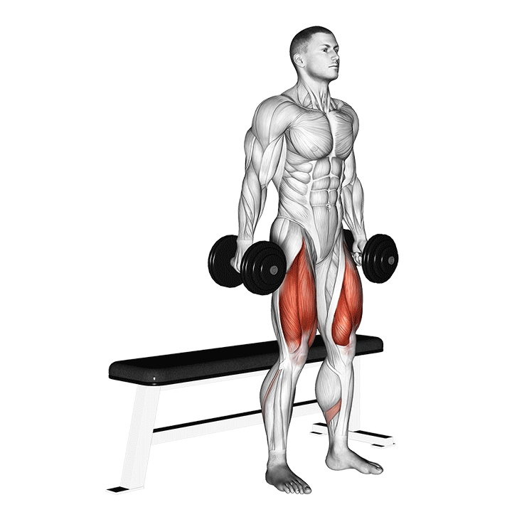 dumbbell bench squat