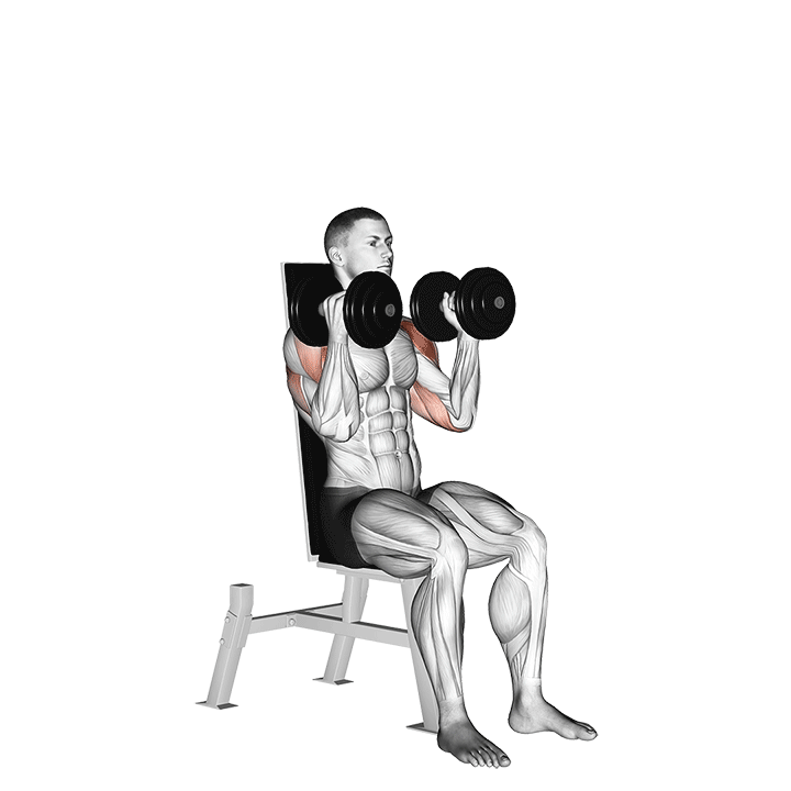 dumbbell seated alternate press