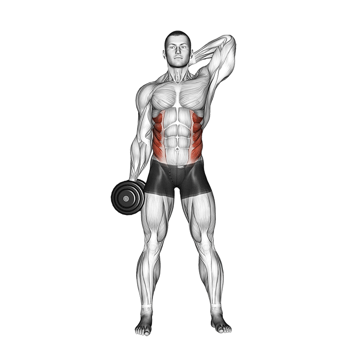 dumbbell side bend