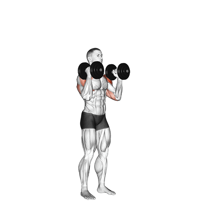 dumbbell standing alternate overhead press