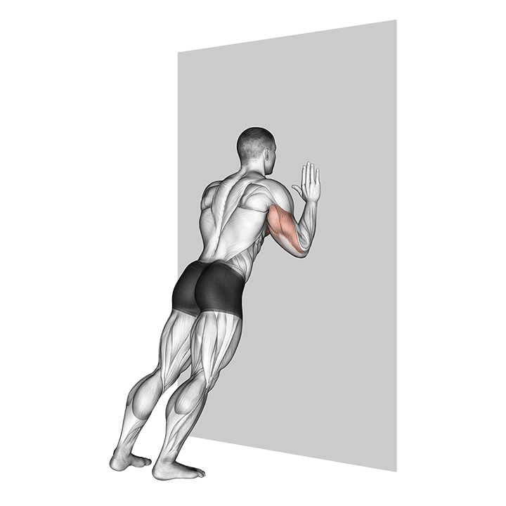 push-up (wall)