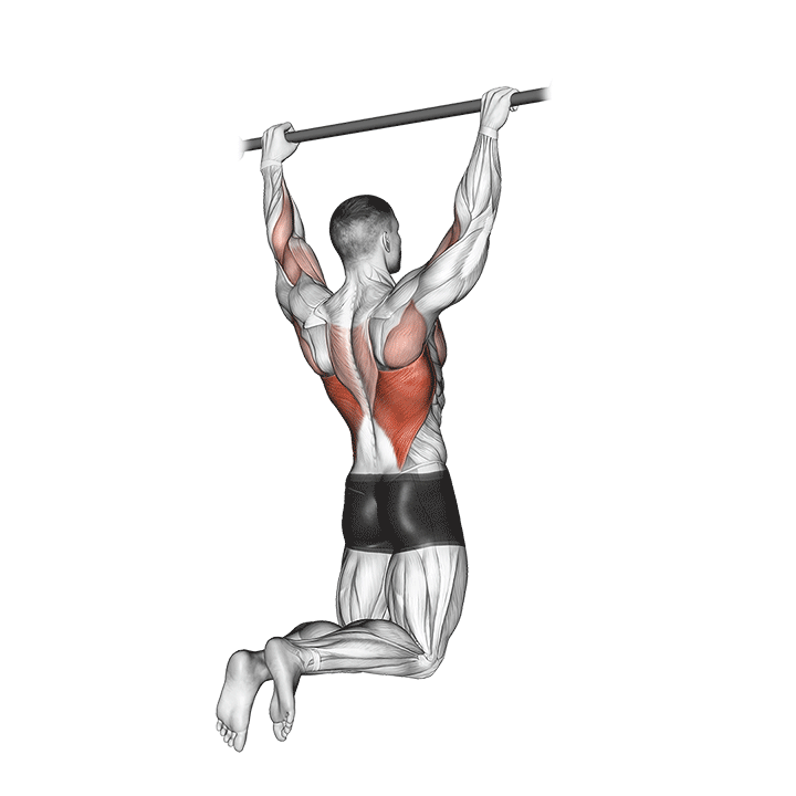 rear pull-up