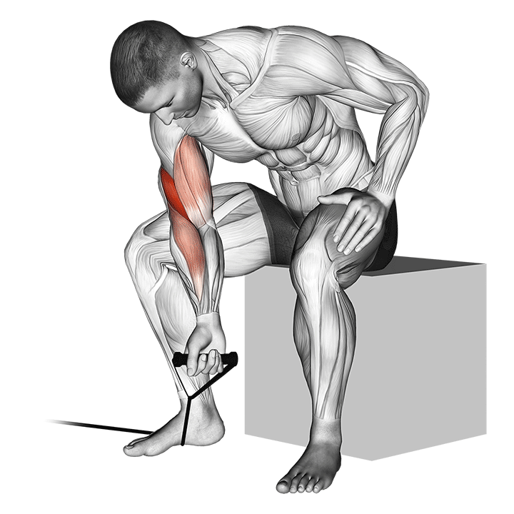 band concentration curl