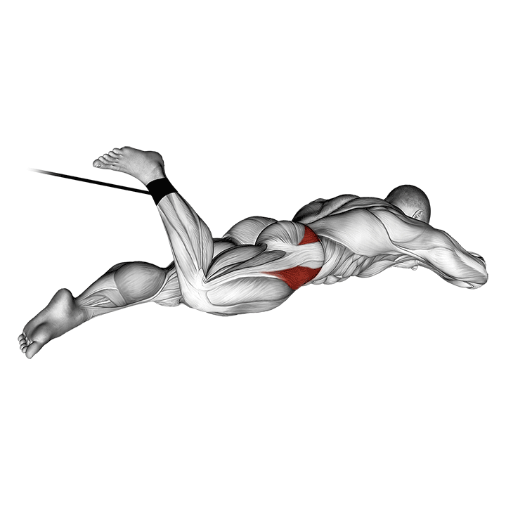 band lying hip internal rotation