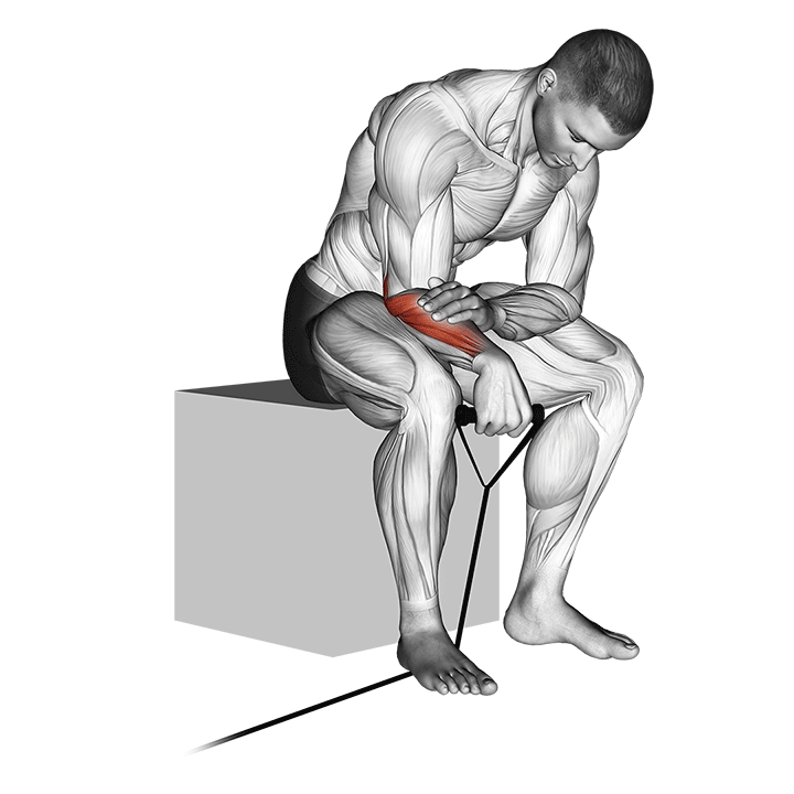 band reverse wrist curl