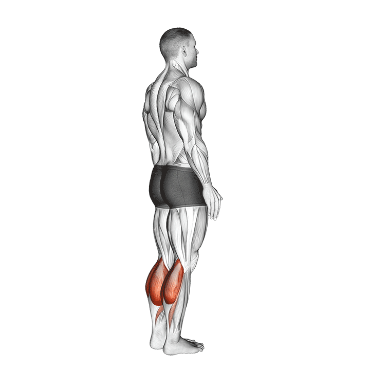 Calf Raises