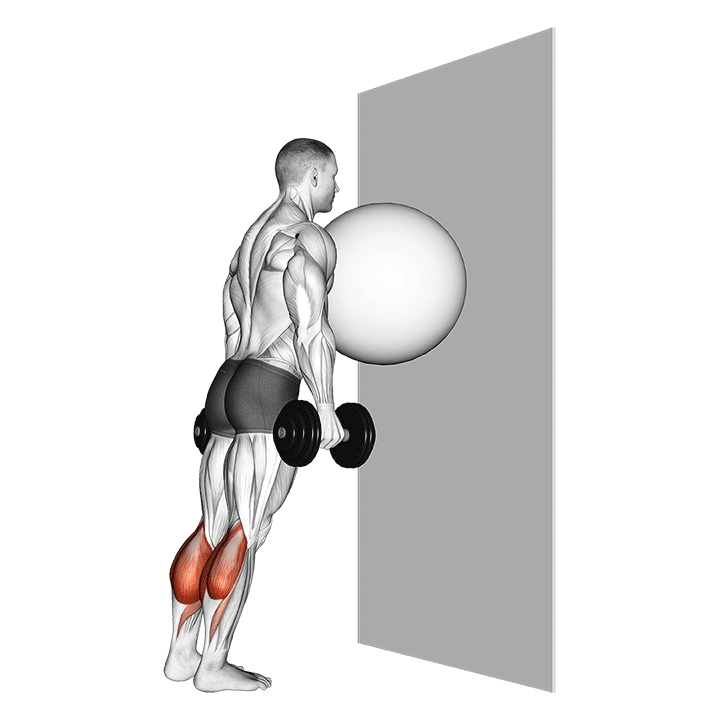 exercise ball on the wall calf raise