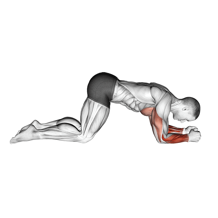 modified push up to lower arms