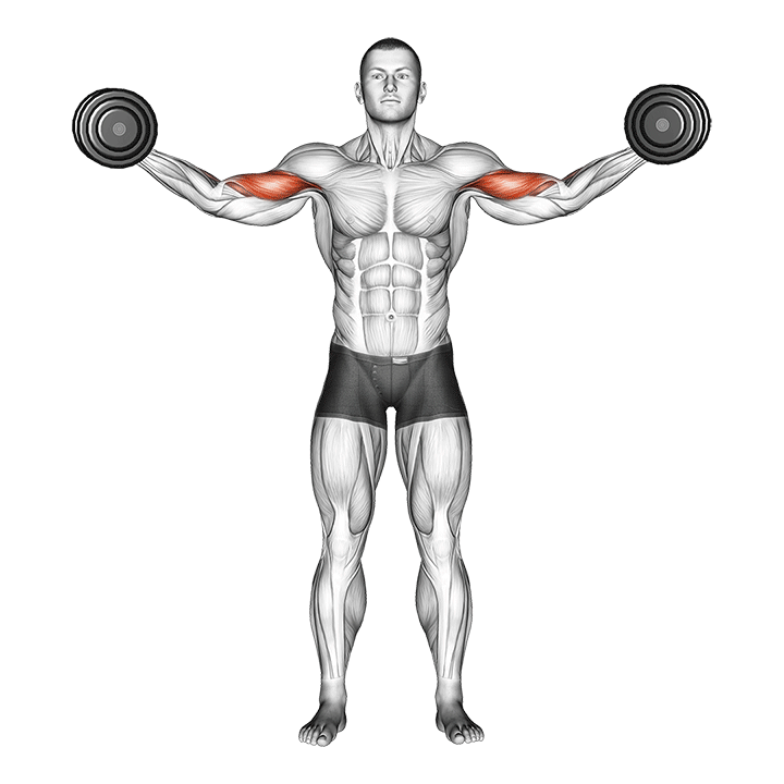 dumbbell high curl