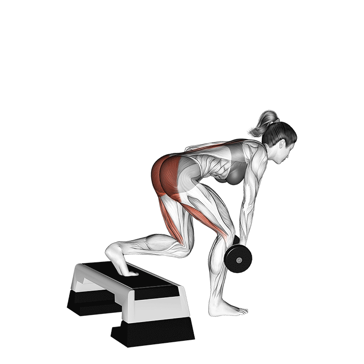 dumbbell single leg deadlift with stepbox support