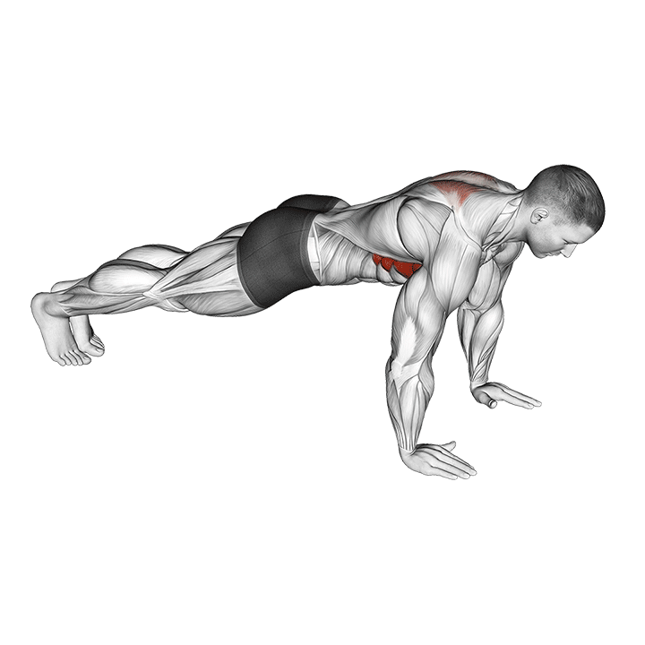 scapula push-up