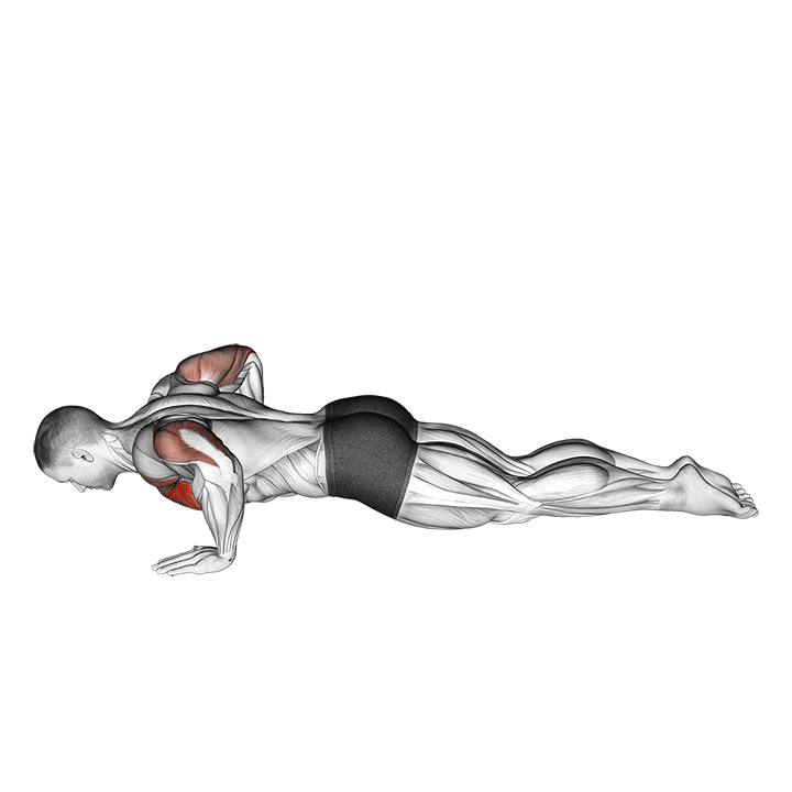 Knee Push-Up