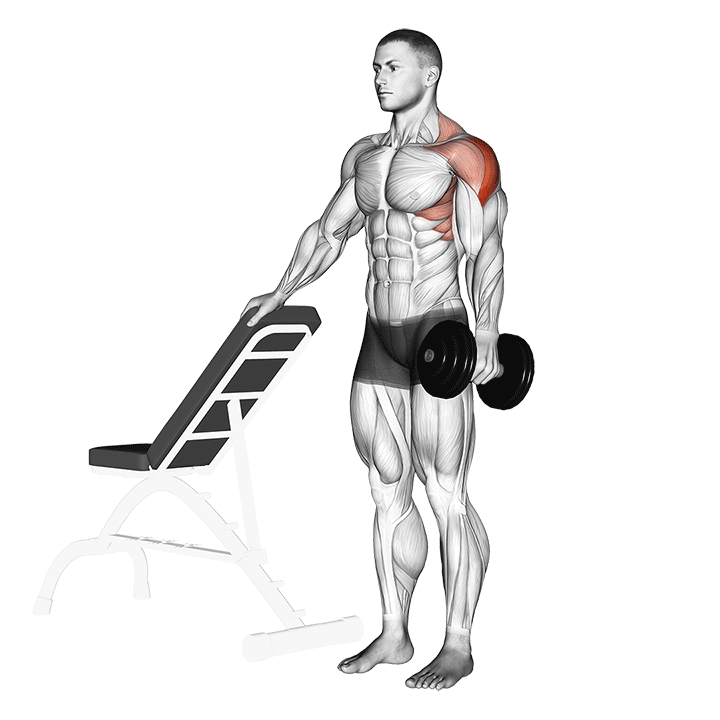 dumbbell one arm lateral raise with support