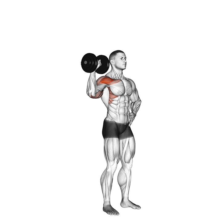 dumbbell one arm shoulder press v. 2