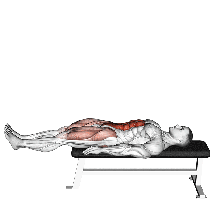 lying leg raise flat bench