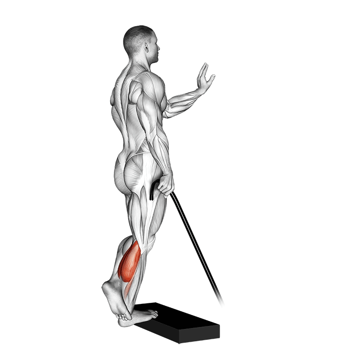 band single leg calf raise