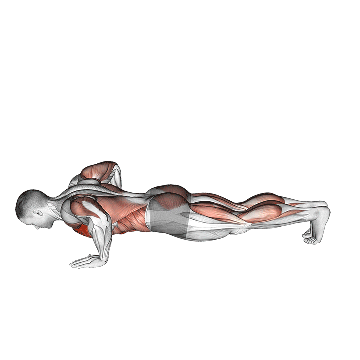 modified hindu push-up (male)
