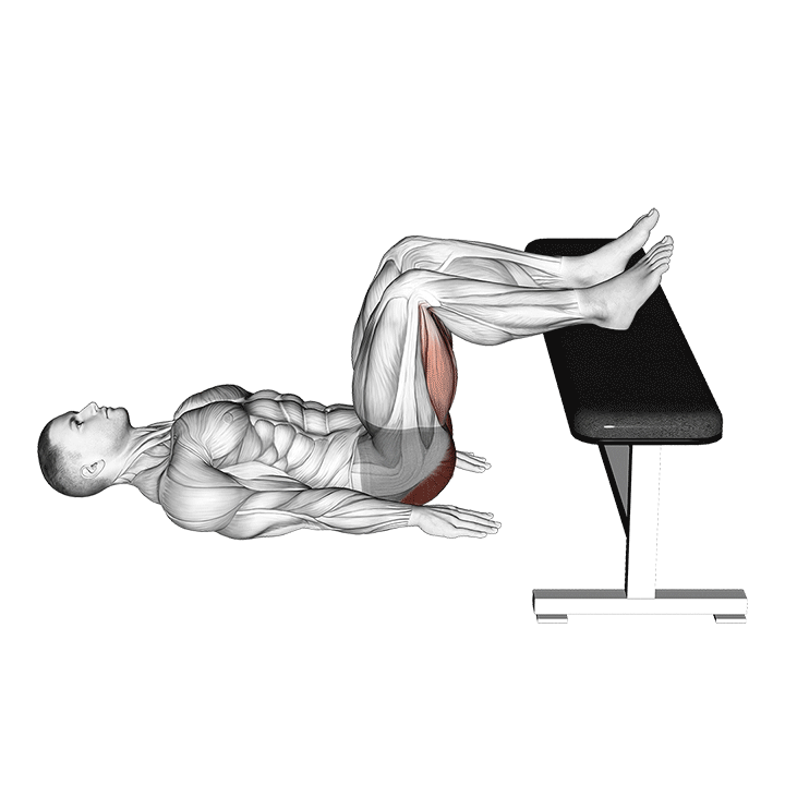 glute bridge two legs on bench (male)