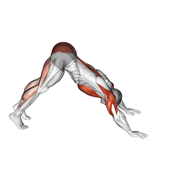 pike-to-cobra push-up