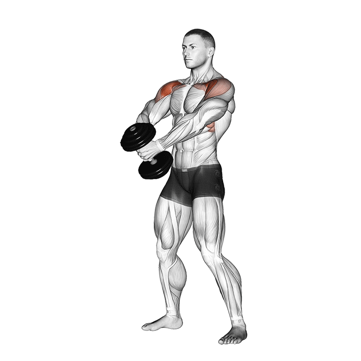 dumbbell front raise v. 2 demonstration