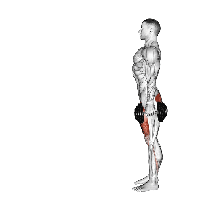 dumbbell lunge demonstration