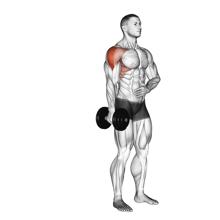 dumbbell one arm lateral raise demonstration