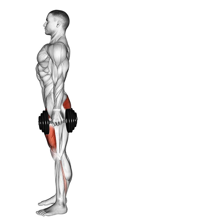 dumbbell rear lunge demonstration