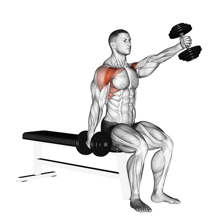 dumbbell seated alternate front raise demonstration