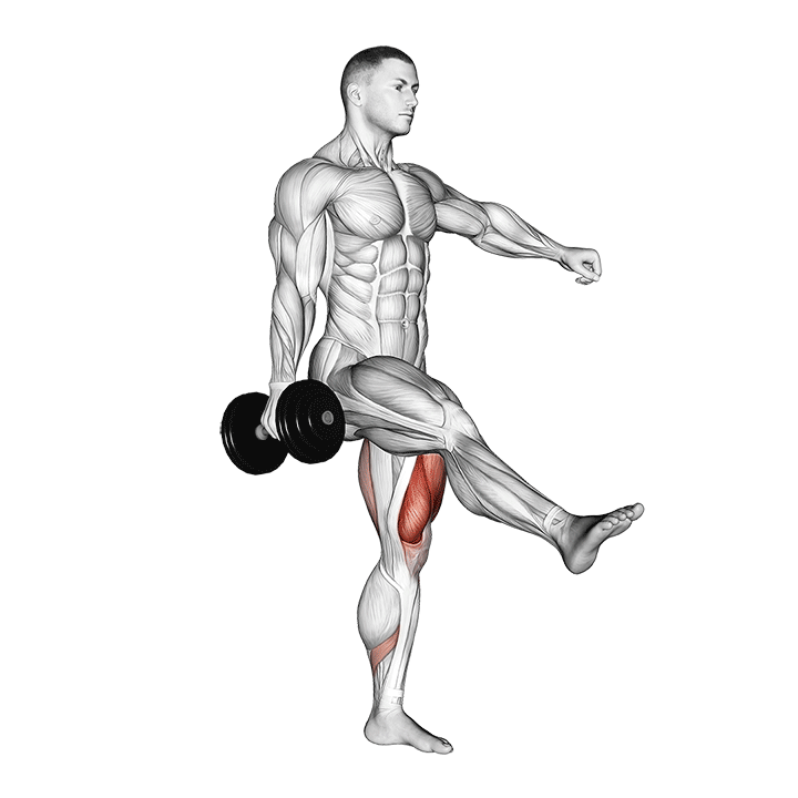 dumbbell single leg squat demonstration