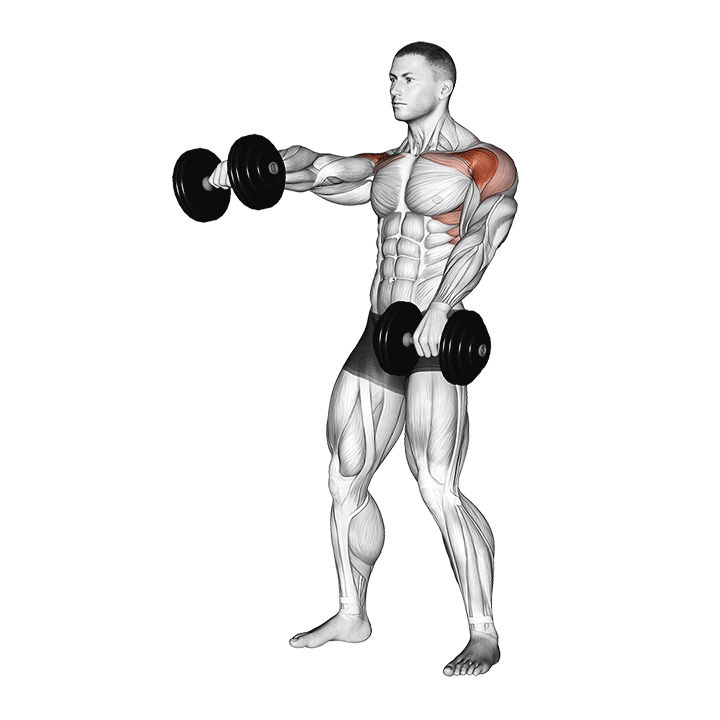 dumbbell standing alternate raise demonstration