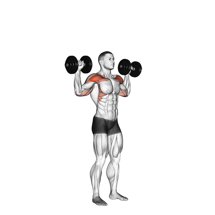 dumbbell standing overhead press demonstration