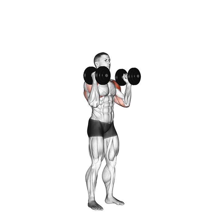 dumbbell standing palms in press demonstration