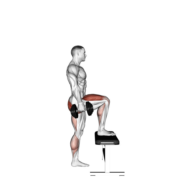 dumbbell step-up demonstration