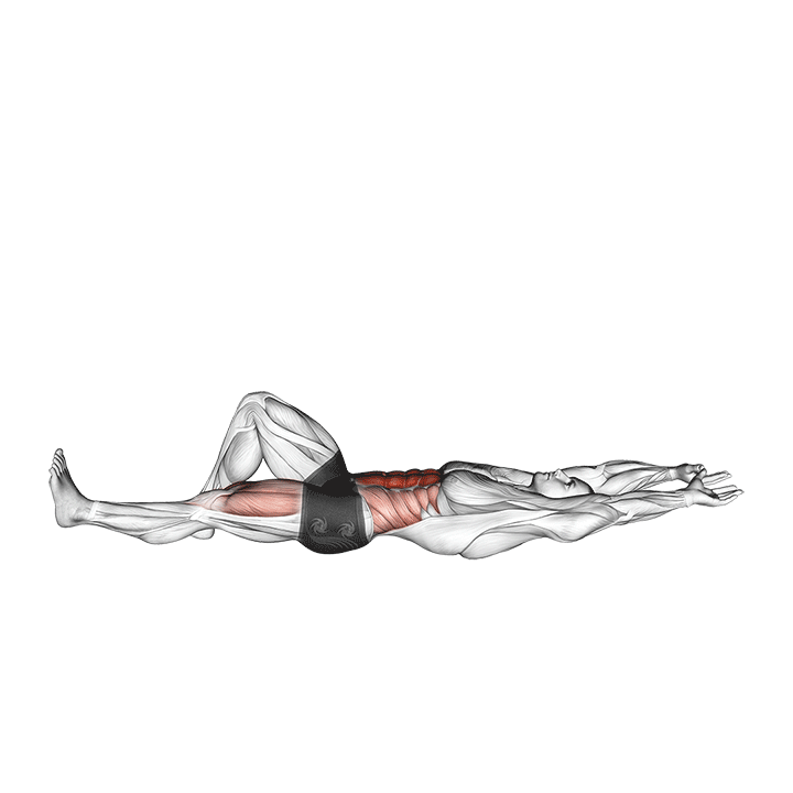 flexion leg sit up (straight arm) demonstration