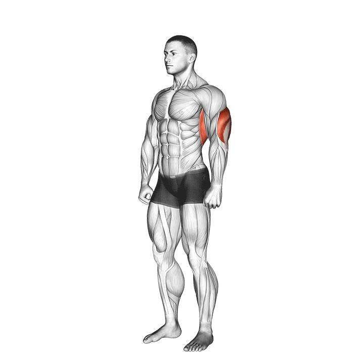 overhead triceps stretch demonstration