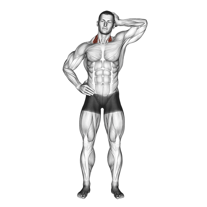 side push neck stretch demonstration