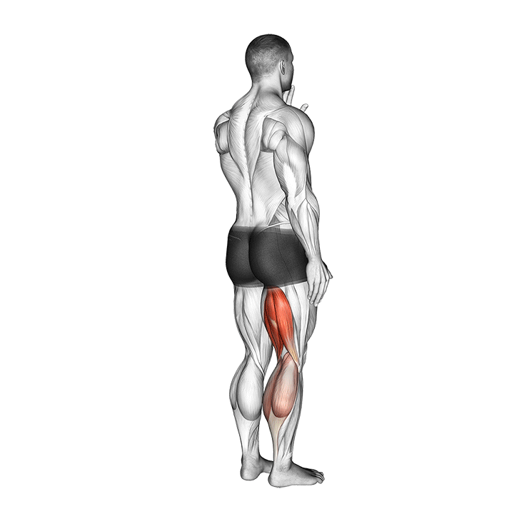 standing single leg curl demonstration