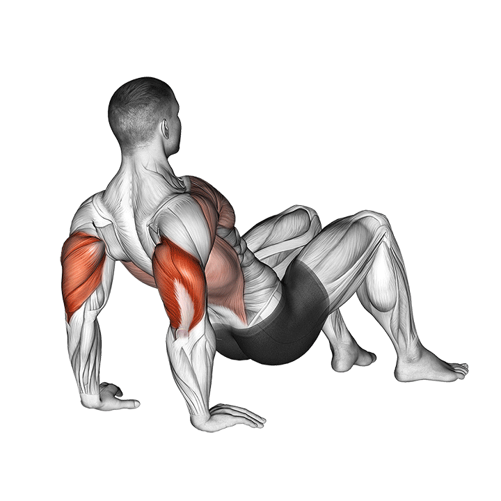 triceps dips floor demonstration