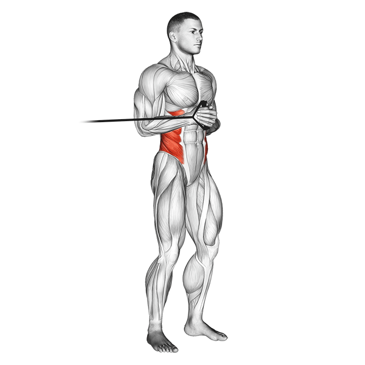 band horizontal pallof press demonstration