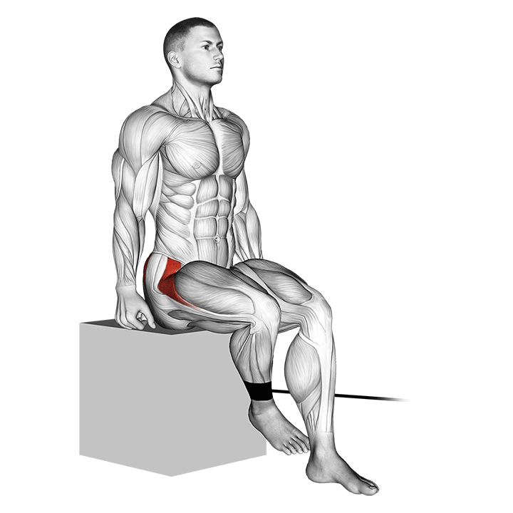 band seated hip internal rotation demonstration
