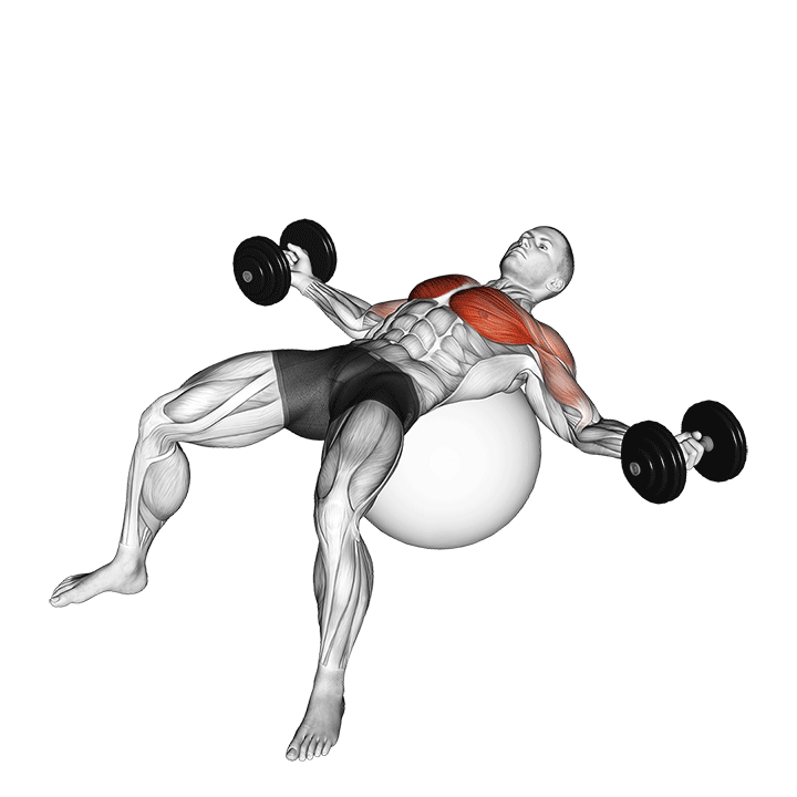 dumbbell fly on exercise ball demonstration