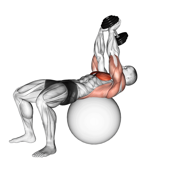 dumbbell lying pullover on exercise ball demonstration