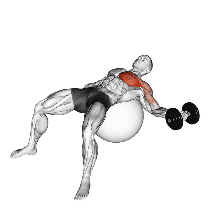 dumbbell one arm chest fly on exercise ball demonstration
