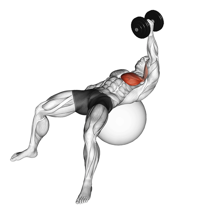 dumbbell one arm fly on exercise ball demonstration