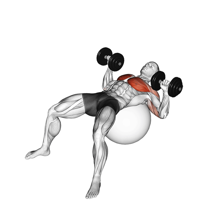 dumbbell press on exercise ball demonstration