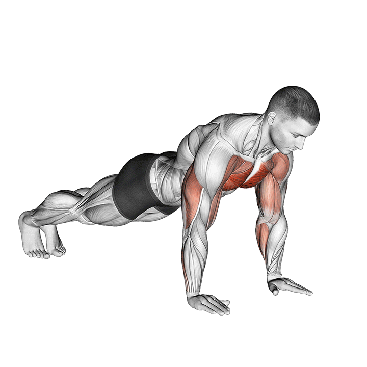 plyo push up demonstration