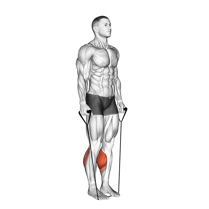 band two legs calf raise - (band under both legs) v. 2 demonstration