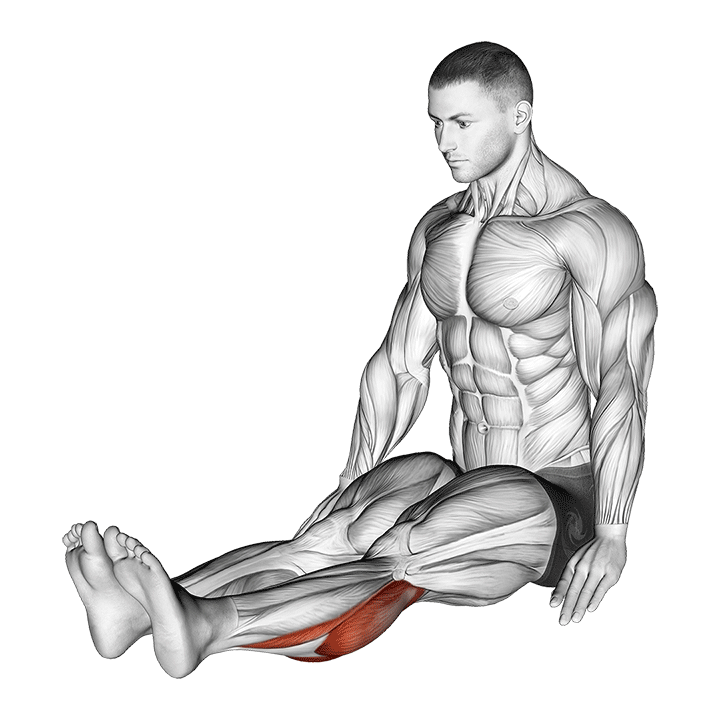 seated calf stretch (male) demonstration