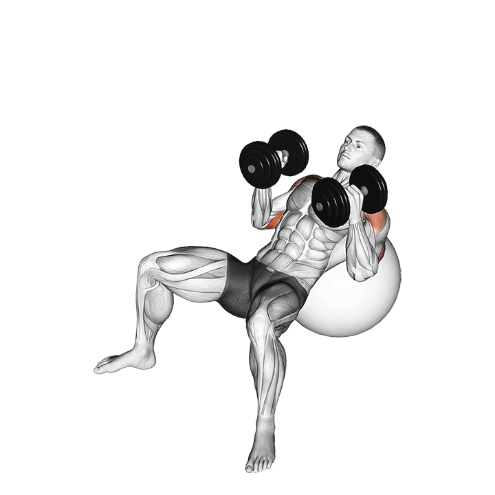 dumbbell incline hammer press on exercise ball demonstration