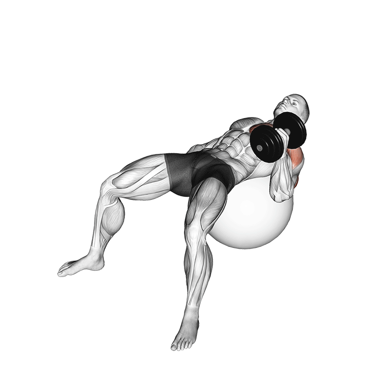 dumbbell one arm hammer press on exercise ball demonstration